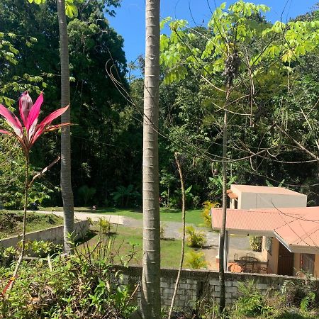 Alma del bosque Vacation Home&apartments Quepos Exterior foto